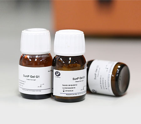 SunP Gel G1 甲基丙烯酸酐化明胶 Gelatin-methacryloyl (GelMA)