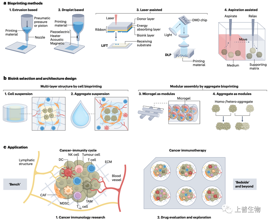 清华大学生物制造团队孙伟/庞媛在Nat Rev Immunol | 发表三维体外系统模拟实体瘤的免疫反应综述文章